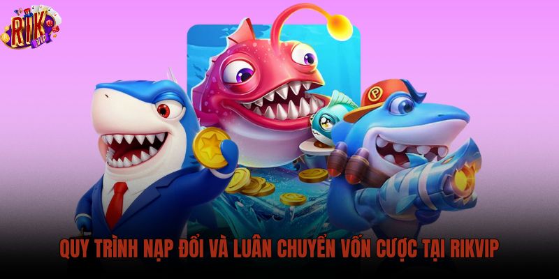quy-trinh-nap-doi-va-luan-chuyen-von-cuoc-tai-rikvip quy-trinh-nap-doi-va-luan-chuyen-von-cuoc-tai-rikvip